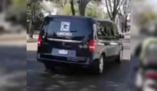 «¡Qué pena!, estamos todos confundidos»: Reportero